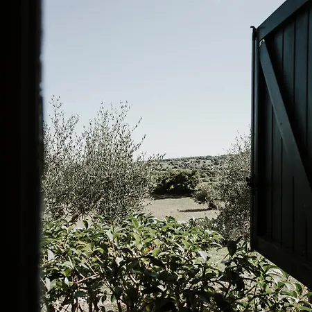 Bibbia- Tenuta Di Campagna *