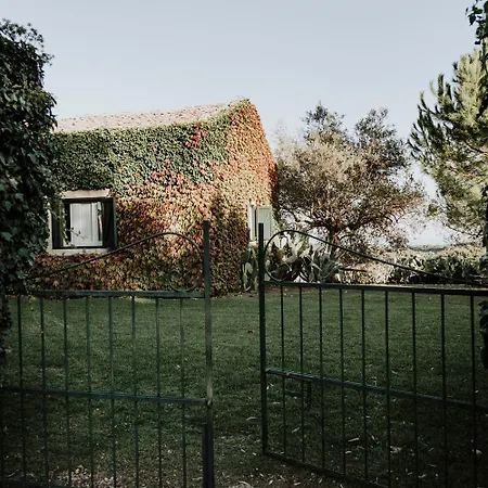 Bibbia- Tenuta Di Campagna *