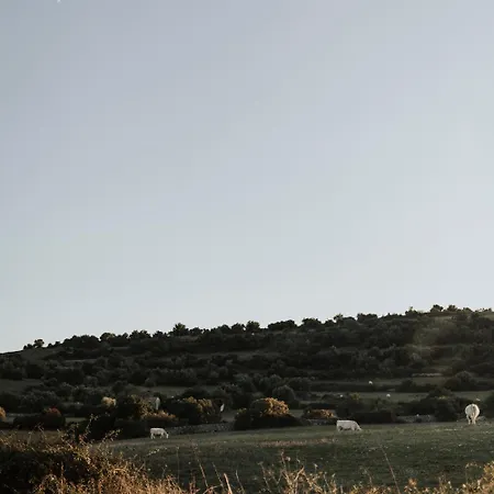 فندق مبيت وإفطار Bibbia- Tenuta Di Campagna *