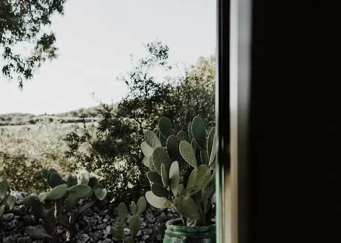 Bibbia- Tenuta Di Campagna Bed & Breakfast